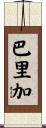 Barriga Scroll