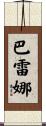 Barena Scroll