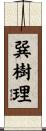 巽樹理 Scroll
