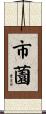 市薗 Scroll