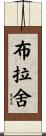 Brasher Scroll