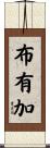 布有加 Scroll
