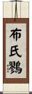 布氏鷚 Scroll