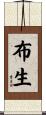 布生 Scroll