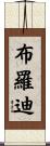 Brody Scroll