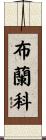 Blanco Scroll