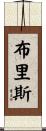 Brice Scroll