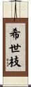 希世枝 Scroll