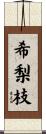希梨枝 Scroll
