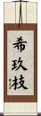 希玖枝 Scroll