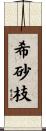 希砂枝 Scroll