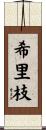 希里枝 Scroll