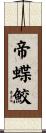 帝蝶鮫 Scroll