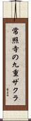 常照寺の九重ザクラ Scroll