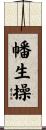幡生操 Scroll