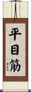 平目筋 Scroll