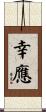 幸應 Scroll