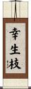幸生枝 Scroll