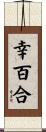 幸百合 Scroll