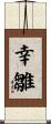 幸雛 Scroll