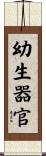 幼生器官 Scroll