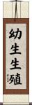 幼生生殖 Scroll