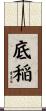 底稲 Scroll