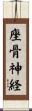 座骨神経 Scroll