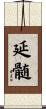 延髄 Scroll