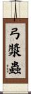 弓漿蟲 Scroll