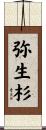 弥生杉 Scroll