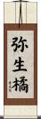 弥生橘 Scroll