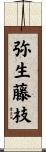 弥生藤枝 Scroll