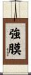 強膜 Scroll
