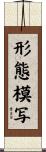形態模写 Scroll