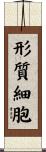 形質細胞 Scroll