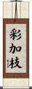 彩加枝 Scroll