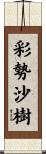 彩勢沙樹 Scroll