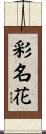 彩名花 Scroll