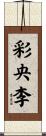 彩央李 Scroll