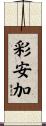 彩安加 Scroll