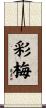 彩梅 Scroll