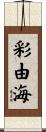 彩由海 Scroll