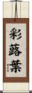 彩蕗葉 Scroll