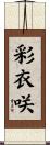 彩衣咲 Scroll