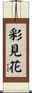 彩見花 Scroll