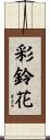 彩鈴花 Scroll