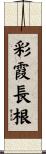 彩霞長根 Scroll