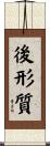 後形質 Scroll