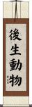 後生動物 Scroll